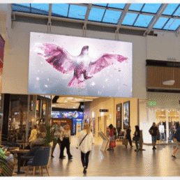 Wyniki badania Mediapanel