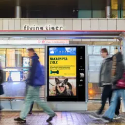 AMS-x-Nakarm-Psa-z-OLX